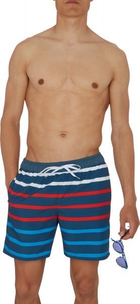 Шорты Firefly STRP4 Kris ux 302403-510 р. L разноцветный