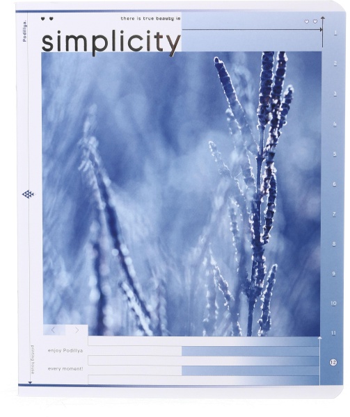 Тетрадь школьная 48 листов в клетку Айвори серия 4