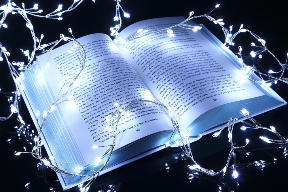 Электрогирлянда линейная Koopman встроенный светодиод (LED) 480 ламп 4,8 м (AX8717240)