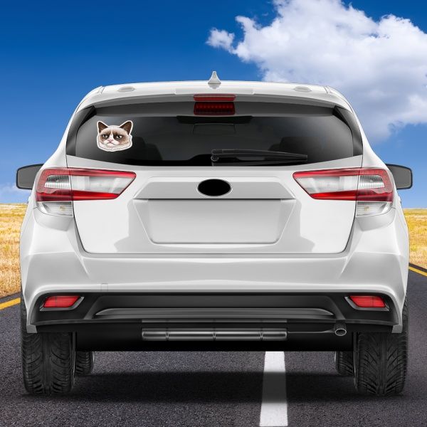 Наліпка Диво Кіт