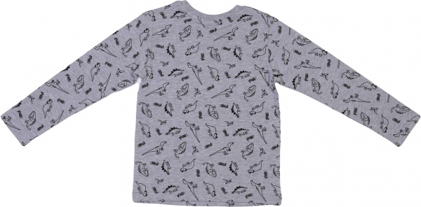 Джемпер для мальчика Funtime Roarr! р.110 серый 