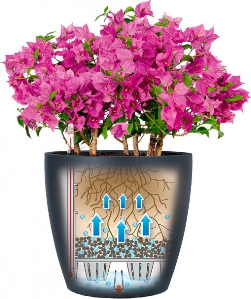 Вазон пластиковий Elho в наборі 21 Classico Color круглий 0,8л сірий (4008789131843) 