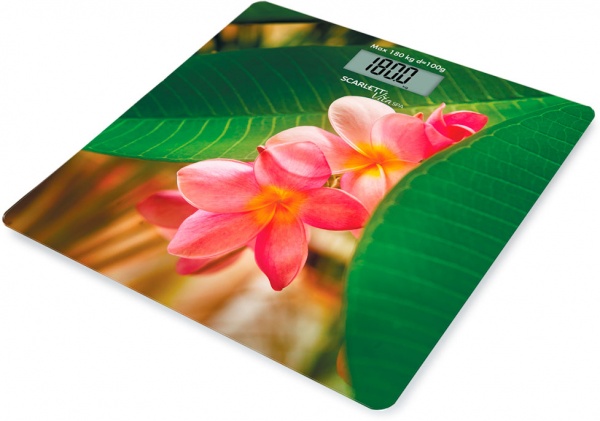 Ваги підлогові Scarlett SC-BS33E040