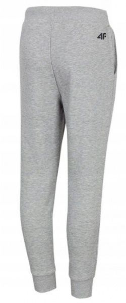 Брюки 4F HJZ20-JSPMD001-27M р. 122 серый