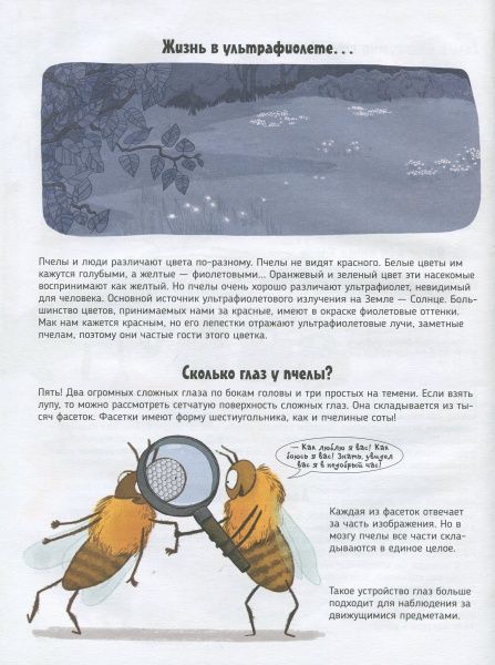 Книга «Книга Бджоли.Про що говорять тварини.»