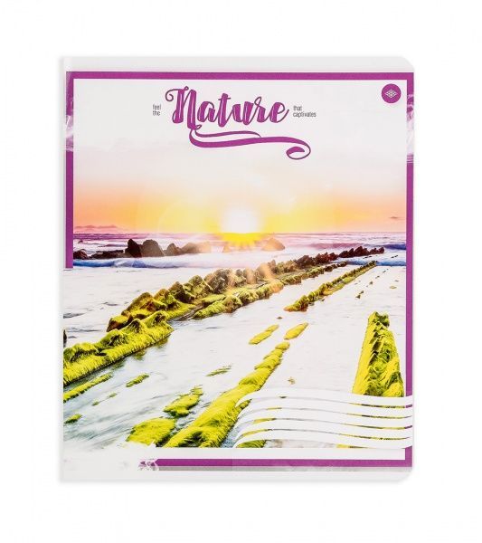 Комплект тетрадей Атмосферная природа 24 листа в клетку 20 шт. Поділля