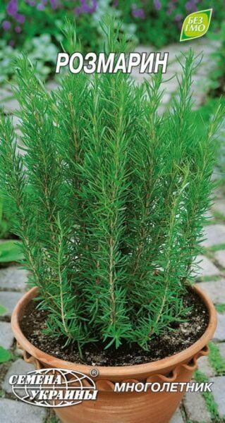 Семена Семена Украины Розмарин
