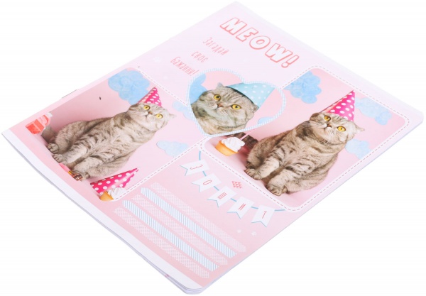 Тетрадь школьная Tadward коса