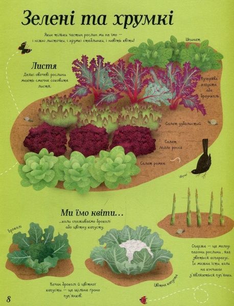 Книга Эмили Боун «Усе починається з насіння…як росте їжа» 978-617-7579-21-1