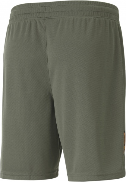 Шорты Puma FCSD Shorts Replica 76563903 р. L зеленый