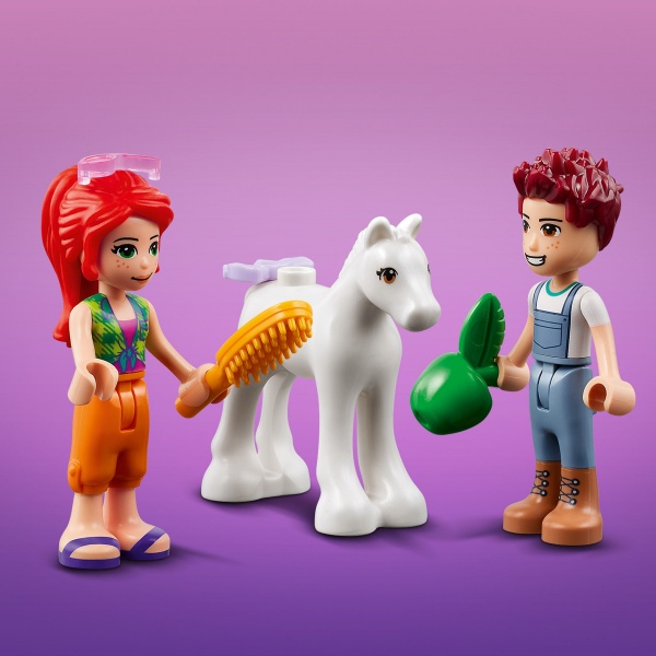 Конструктор LEGO Friends Конюшня для миття поні 41696