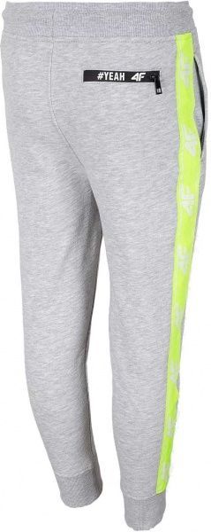 Брюки 4F HJL20-JSPMD002 р. 146 серый
