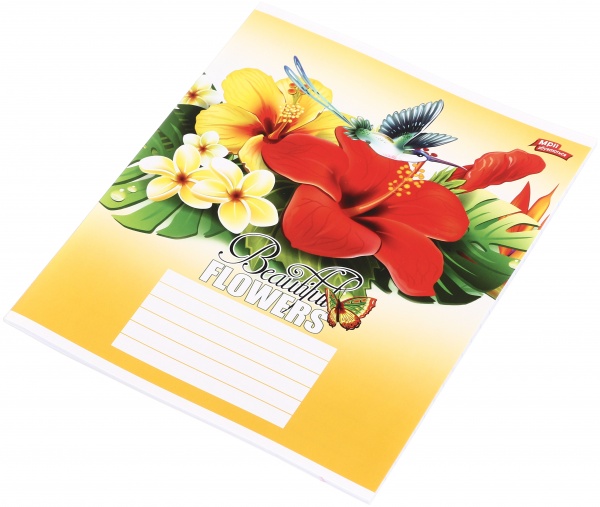 Тетрадь школьная 36 листов в линейку в ассортименте Мечты сбываются