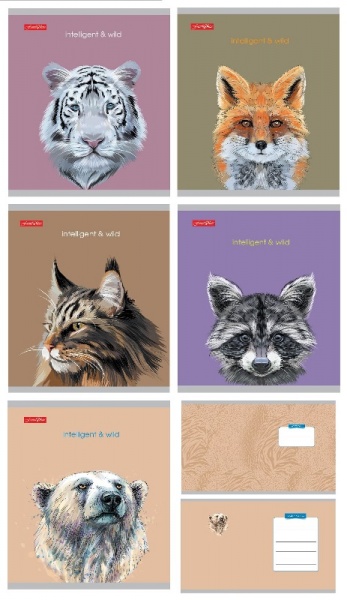 Тетрадь 48 лист.кл.серия 