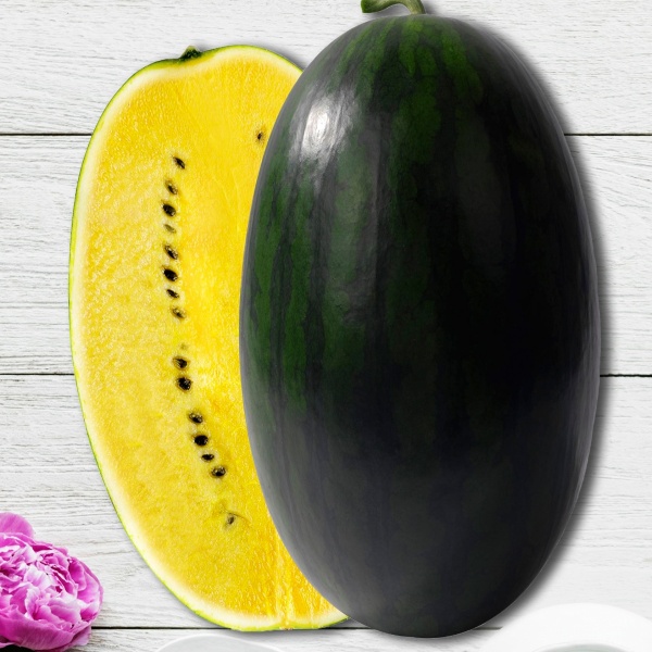 Семена Професійне насіння арбуз Шуга Елоу F1 8 шт. (4820176693907)