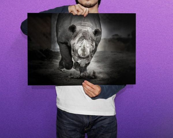 Картина Носорог Posterclub 