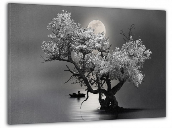 Картина на холсте Чорно-белая ночь 60x100 см Dekor-Karpaty ЕО247 