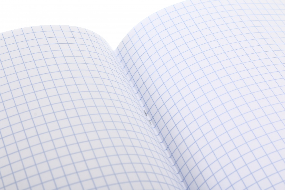 Тетрадь школьная Anime24 96 листов скоба клетка_2 Nota Bene