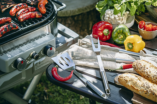 Набір для гриля Adler AD-6730