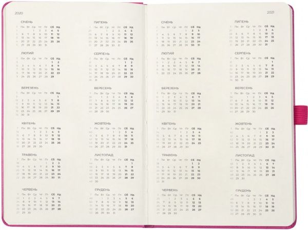 Щотижневик 2020 Partner Strong 8505-20-10-a рожевий Axent 42815 