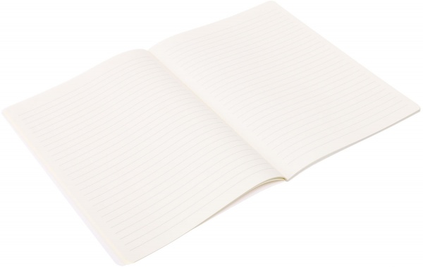 Блокнот Ананас 25х18 см Mikirei