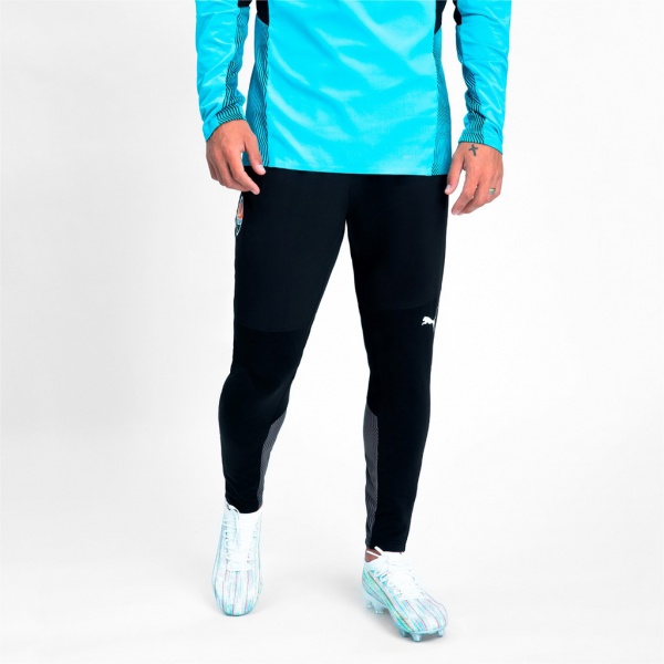 Штани Puma FCSD Training Pants Pro 76411202 р. L чорний