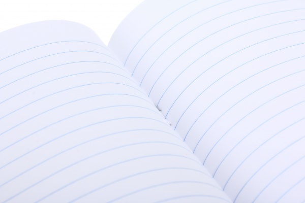 Тетрадь школьная 24 листов в линейку в ассортименте Мечты сбываются