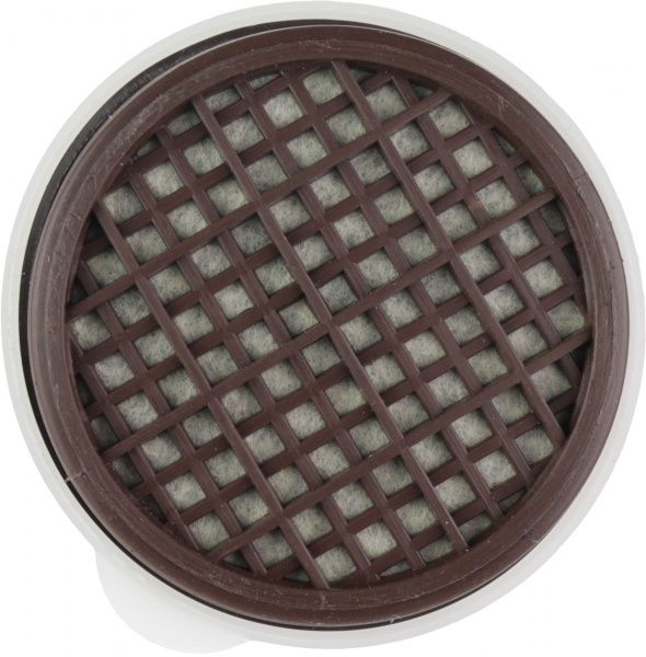 Сменный фильтр Compass Тополь A1P1 1 шт. 6067