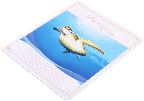 Тетрадь школьная Tadward коса