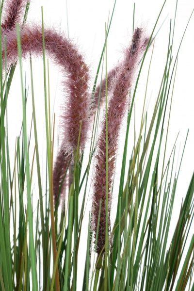 Очерет штучний сливовий 80 см P7219JSY-80