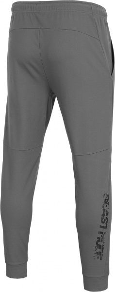 Брюки 4F D4Z20-SPMTR111-25S р. XL серый
