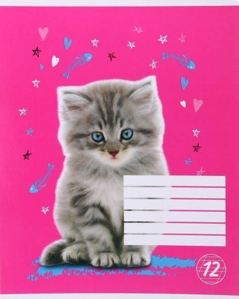 Тетрадь школьная 12 листов в косую линию Мечты сбываются