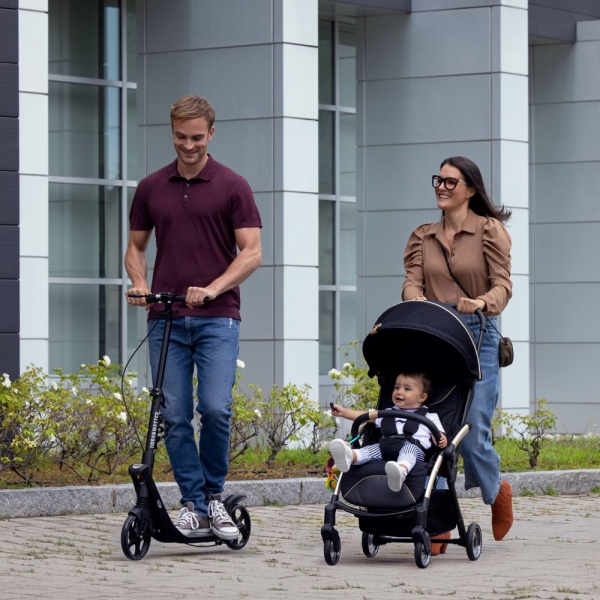 Коляска прогулочная Chicco Goody Plus Black Re-Lux 