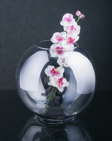 Ваза ластер акваріум сіра 26,8х24 см Luna