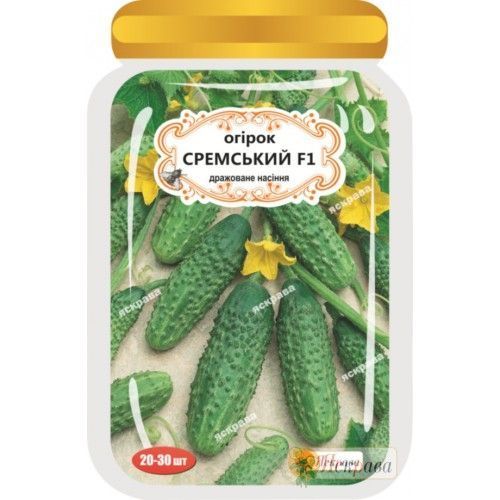 Семена Яскрава огурец Сремский F1 20 шт. (4823069908782)