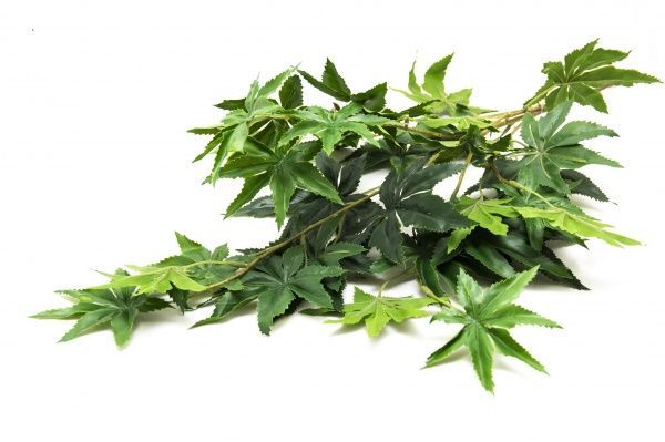 Цветок искусственный веточка Клена 95 см зеленая 631758