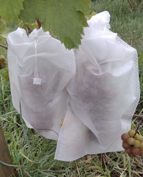 Мешочки для защиты и хранения плодов Agrolife 30х38 см 20 шт 