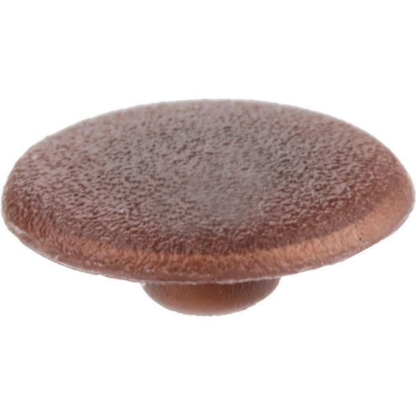 Заглушка на конфірмат 100 шт. горіх темний DC