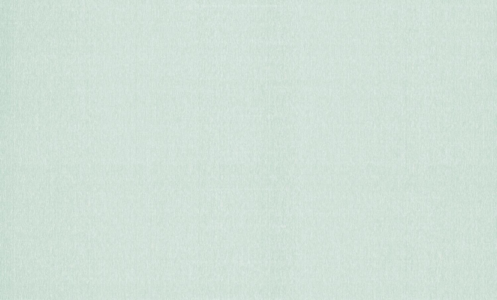 Шпалери вінілові на флізеліновій основі Bravo 81118BR08 1,06x10,05 м