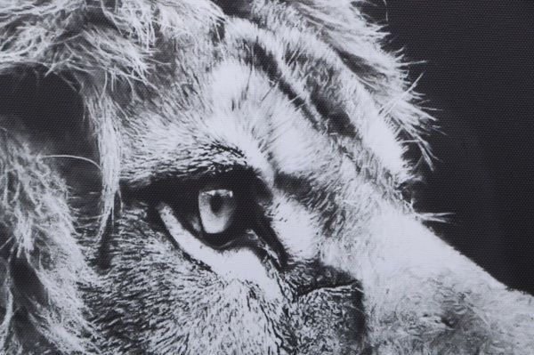 Картина Лев 100x75 см Styler 