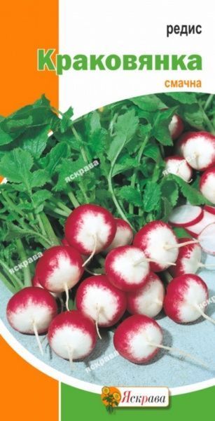 Семена Яскрава редис Краковянка 3г (4823069808655)