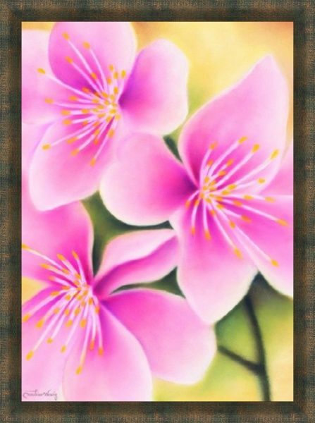 Репродукция 50x40 см SvitArt CW1114 