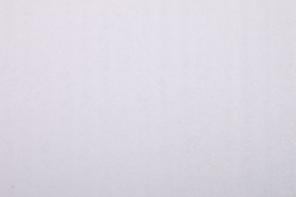 Обои виниловые на флизелиновой основе Славянские обои Le Grand platinum Асти 8662-04 1,06x10,05 м 