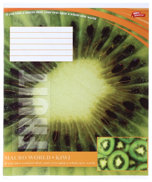 Тетрадь школьная 18 листов в клеточку в ассортименте Мечты сбываются