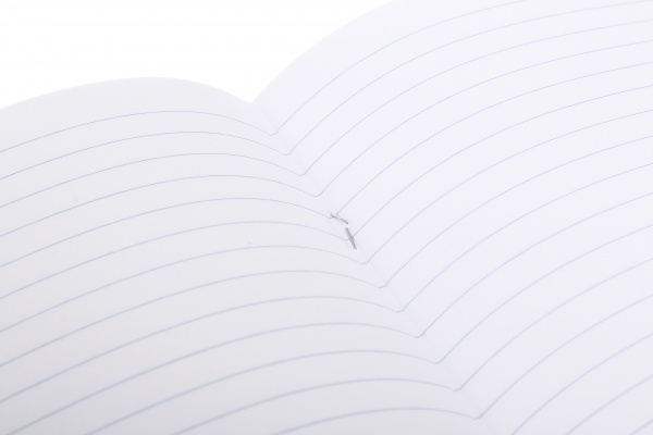 Зошит 24 аркуші лінія 2023_1 Nota Bene