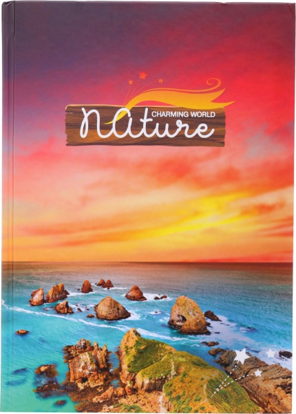 Книга учета Престиж А4 96 листов в ассортименте Аркуш