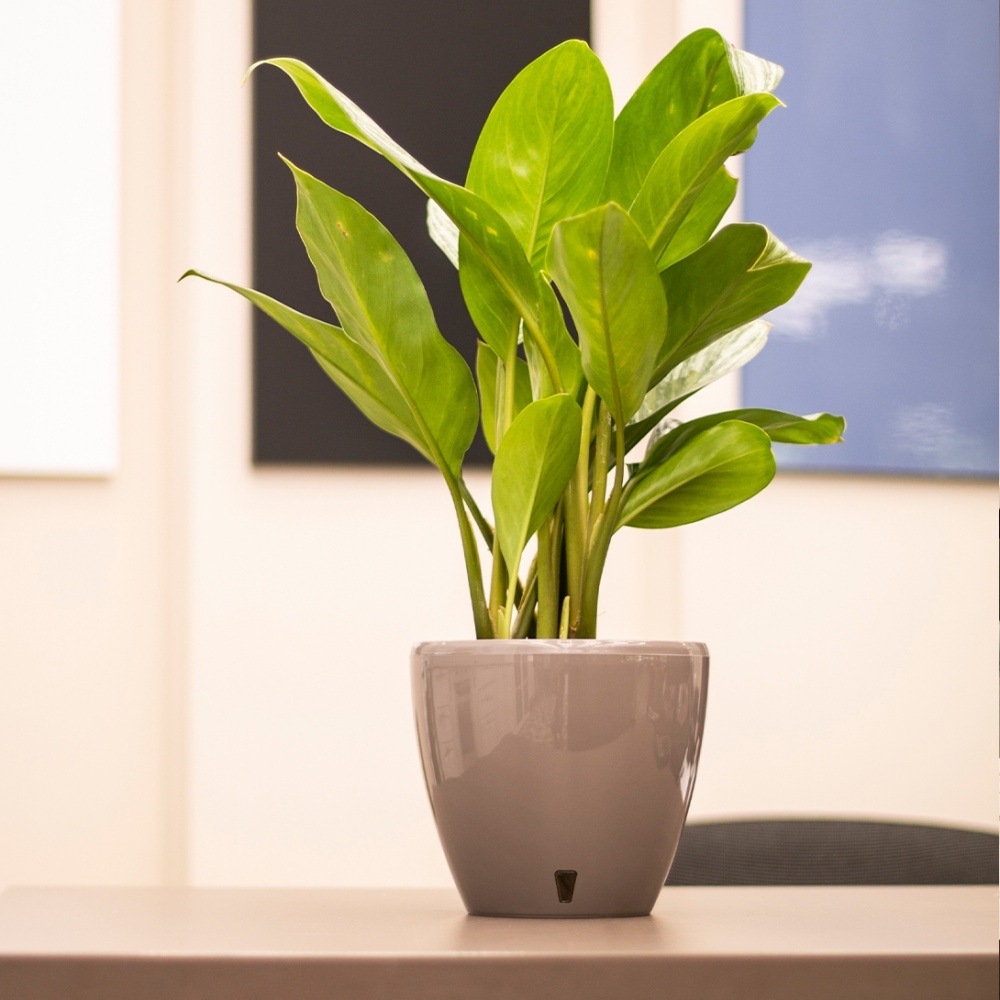 Вазон пластик Deco Twin круглий шаде 12 л Santino (2010650)