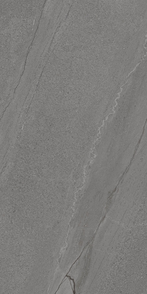 Плитка Allore Group Silva Graphite F PC R Sumat 60х120 см