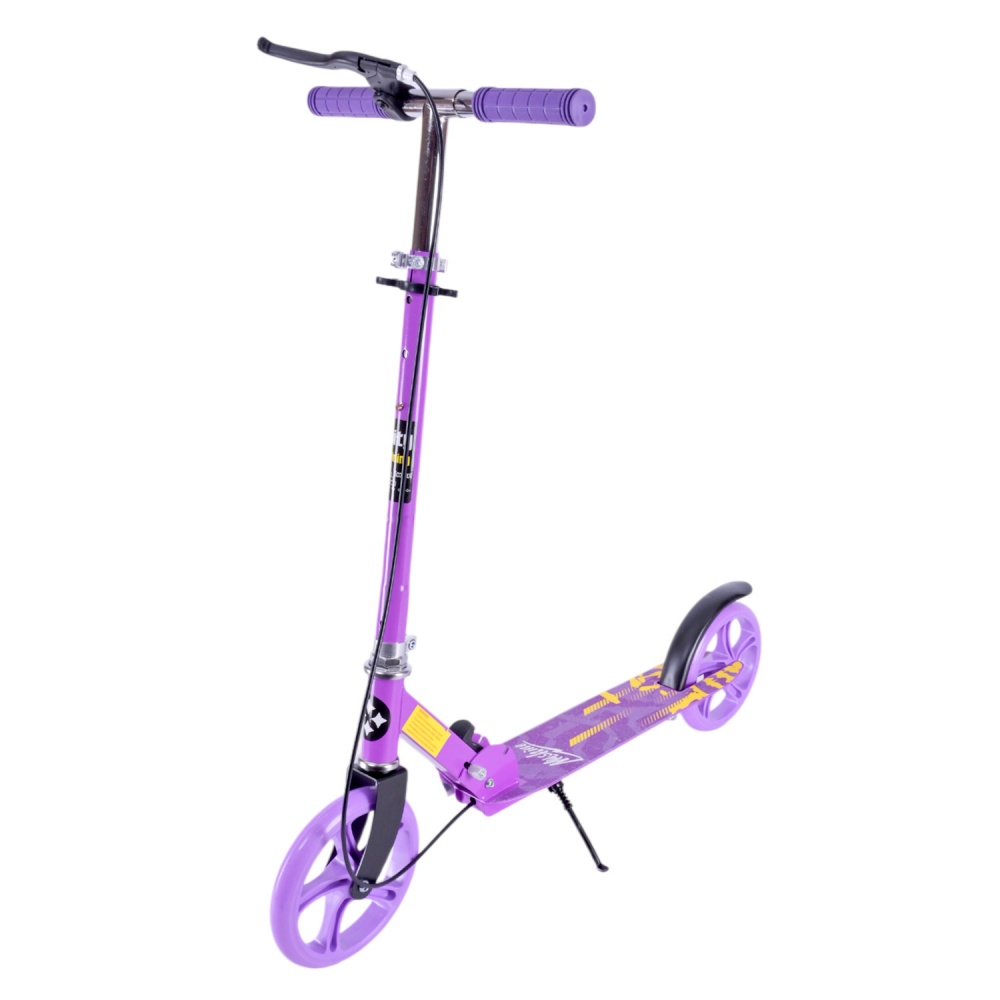 Самокат Shantou 2-колісний в асортименті SK2521