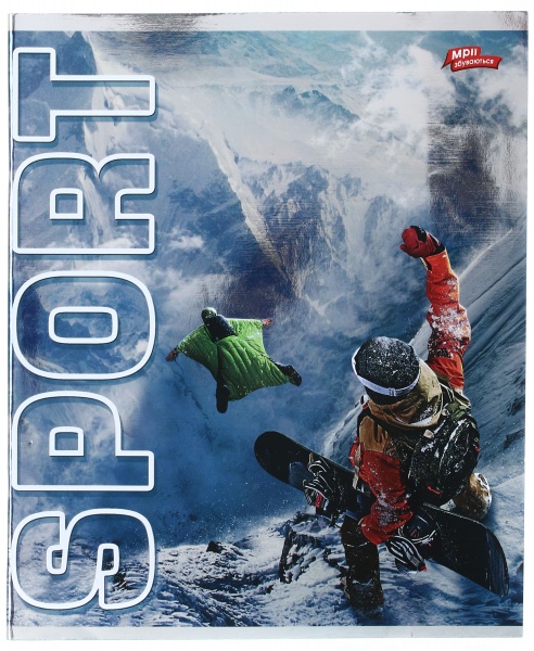 Тетрадь школьная серебро 4 листов в клеточку в ассортименте Мечты сбываются